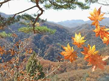 御極大明，與自然美景的親密旅行，探尋內(nèi)心平和之旅