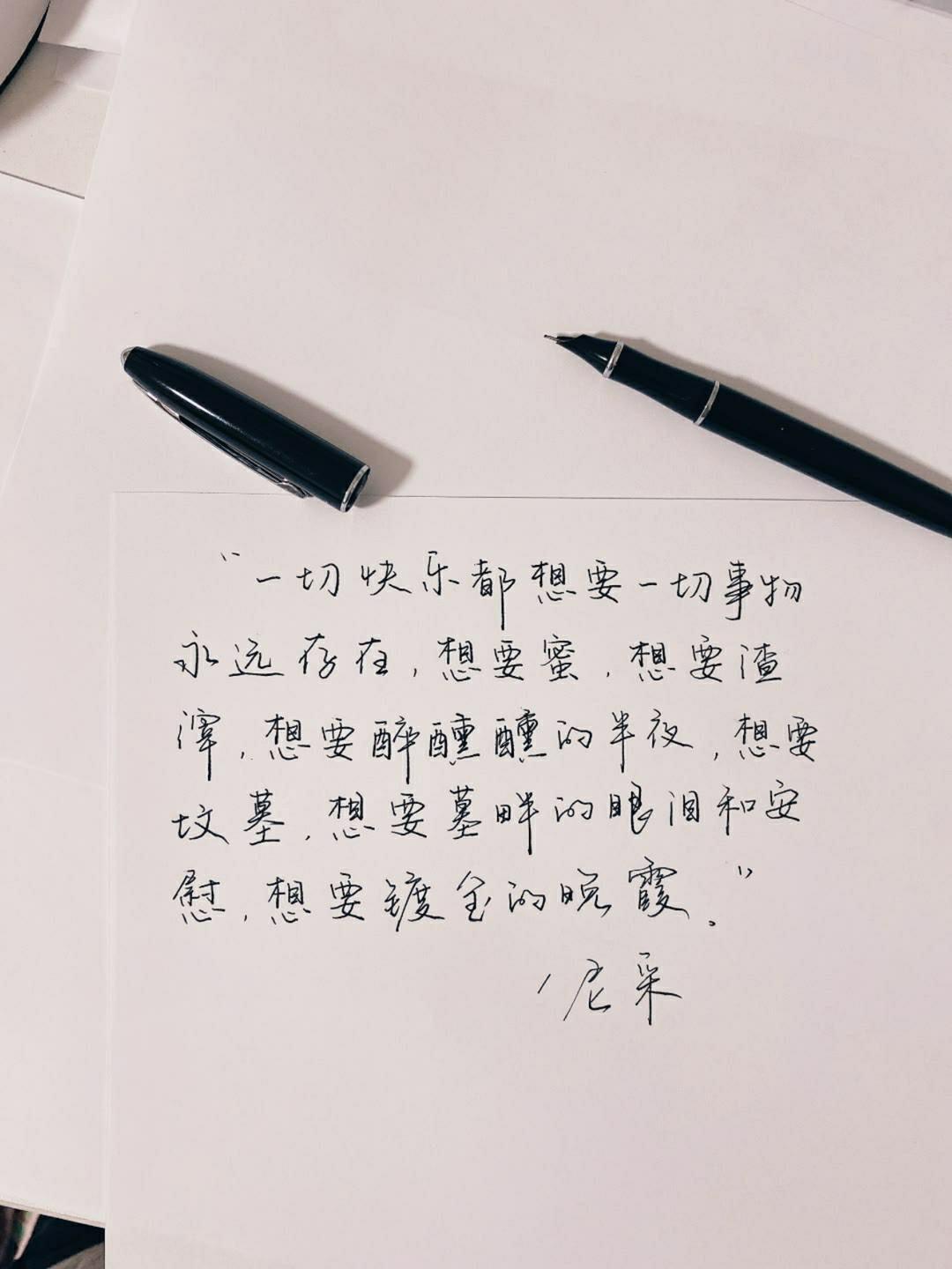 巷弄深處的獨特小店之旅，最新原創(chuàng)句子迷探索之旅