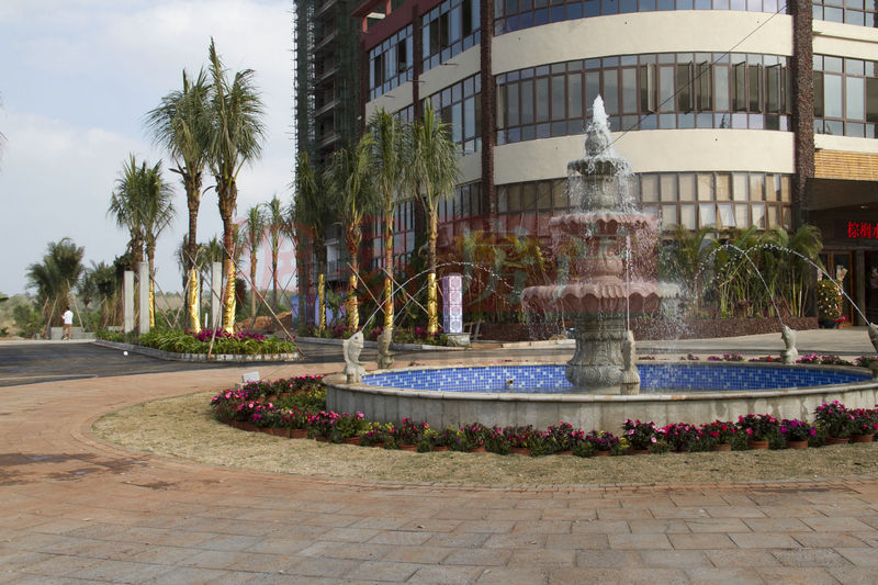 棕櫚水城最新動態(tài)，塑造理想生活新標桿！