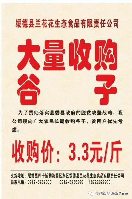 淄川最新財務(wù)招聘，職業(yè)發(fā)展的理想選擇