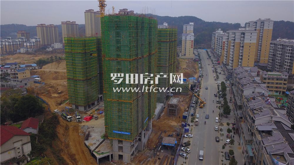 羅田最新房?jī)r(jià)揭秘，洞悉市場(chǎng)動(dòng)態(tài)，掌握房?jī)r(jià)走勢(shì)！