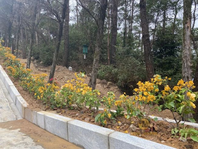 桂平手工，傳統(tǒng)與創(chuàng)新的完美交融