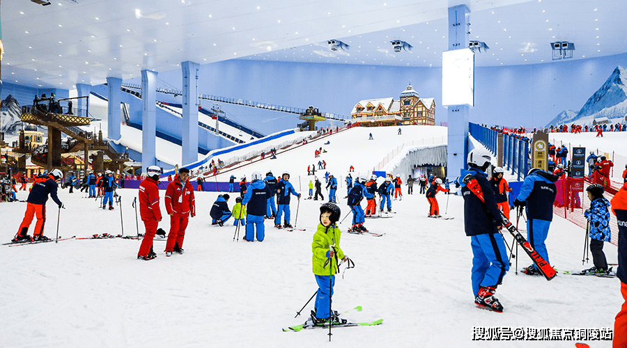 2024六何彩生肖圖開獎結果查詢,科學依據解析_XOJ83.285溫馨版