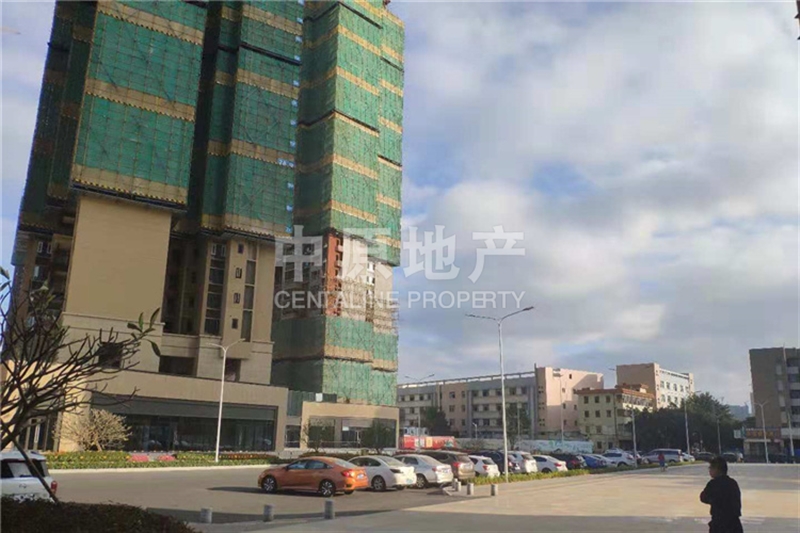 運(yùn)動(dòng)場館燈具 第291頁