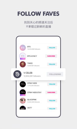 VAPP最新版下載，觀點論述與獲取渠道