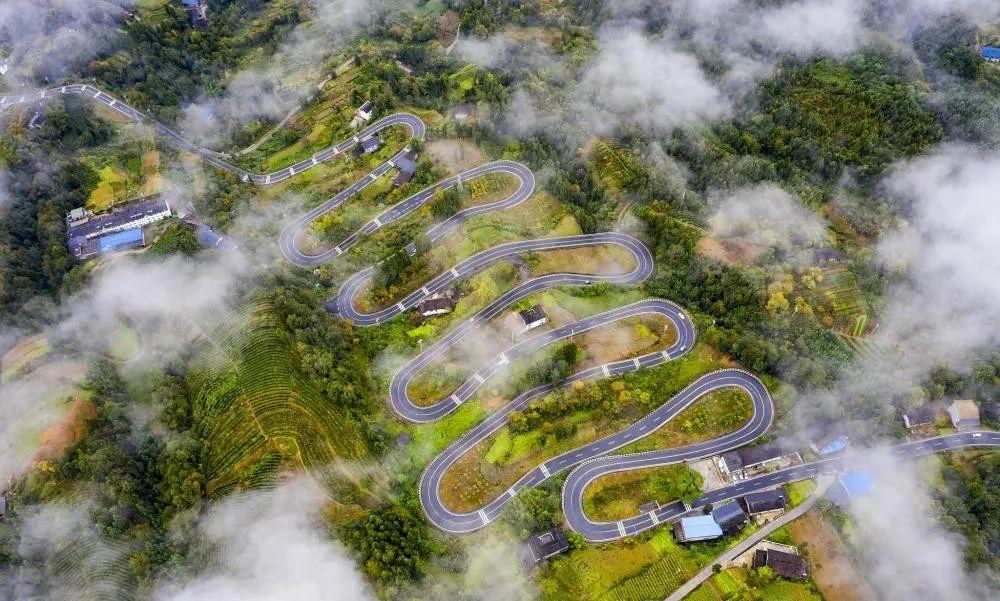 奉節(jié)云霧鄉(xiāng)的最新動態(tài)與溫馨日常，云霧中的快樂時(shí)光