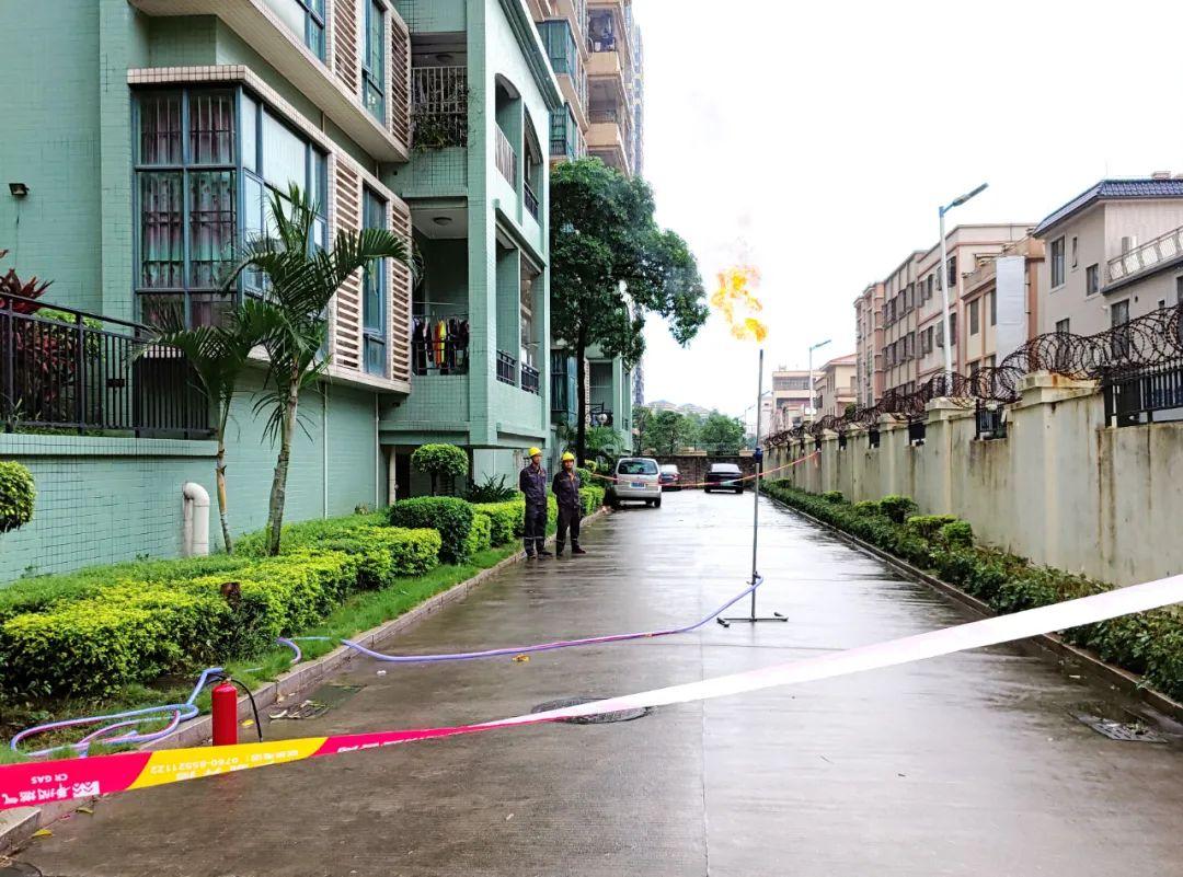 中山東鳳佛奧最新動態(tài)，自然美景的探索之旅，尋找內(nèi)心平和與寧靜
