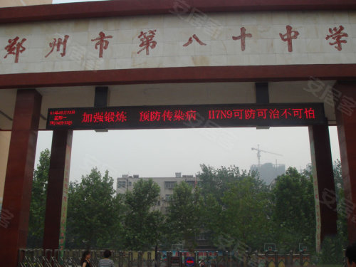 中原區(qū)九龍城最新動(dòng)態(tài)深度解析，最新進(jìn)展與觀點(diǎn)闡述