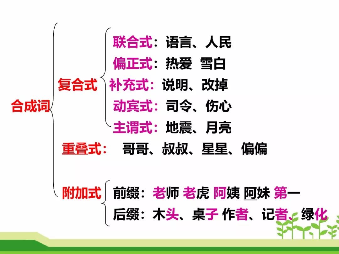 最新合成詞，語言發(fā)展的微觀視角探索