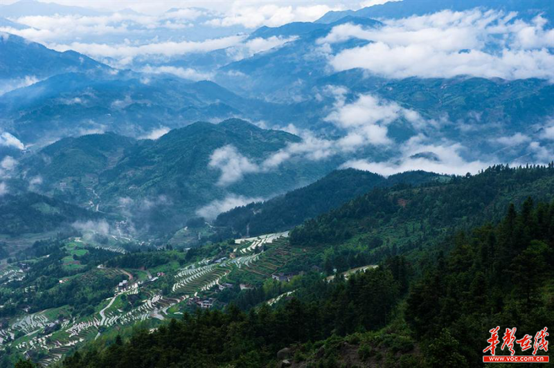 雪峰山資訊，一段溫馨有趣的探索之旅