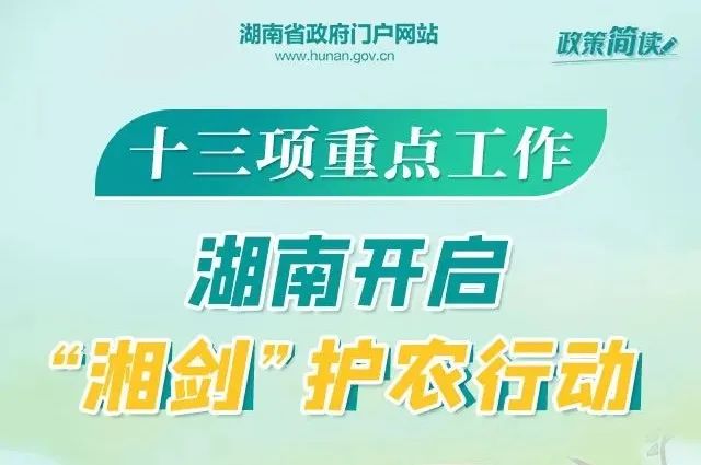 鋁業(yè)巨頭山鋁南定舉辦最新職位招聘盛宴，人才招募火熱進行中！