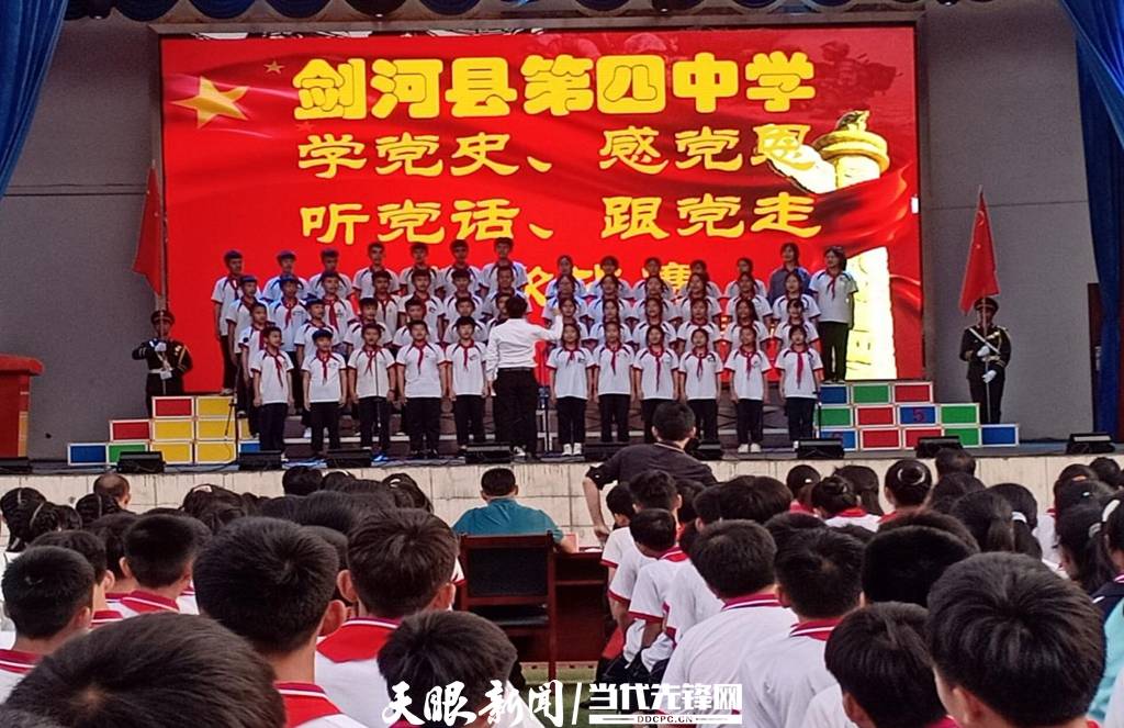 青蛙與狗的泳池挑戰(zhàn)，揭秘游泳比賽背后的故事，青蛙夢工廠的秘密探索