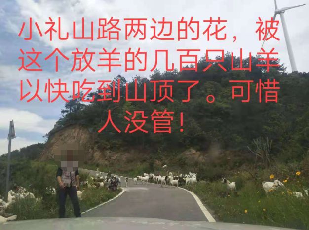 大悟最新路，探索未知，自信成就夢(mèng)想之旅的啟程